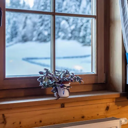 Lechnerhof 2 * 브라이에스